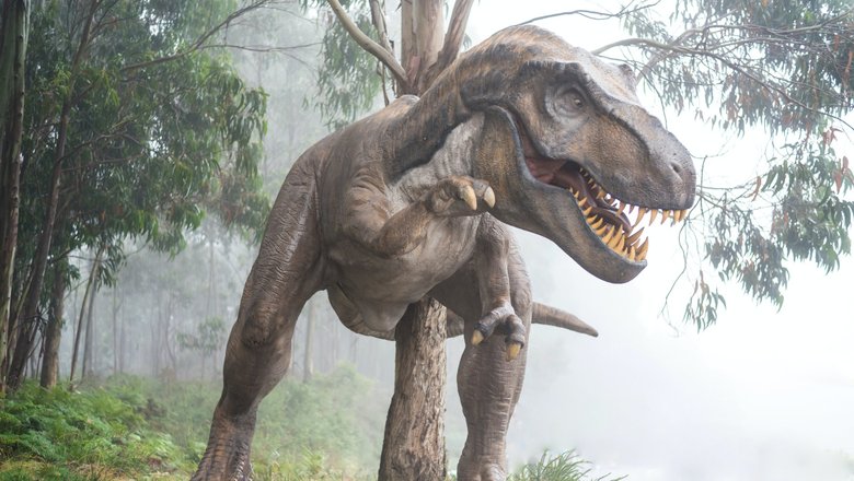 Ученые определили нового соучастника гибели динозавров — мелкую силикатную пыль.