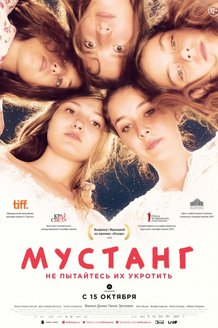 Мустанг: постер