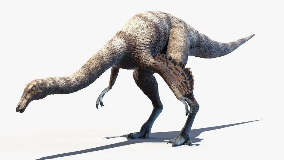 Похожий на страуса динозавр орнитомимус из группы Ornithomimosauria, возможно, был одним из самых быстрых динозавров Похожий на страуса динозавр орнитомимус из группы Ornithomimosauria, возможно, был одним из самых быстрых динозавров