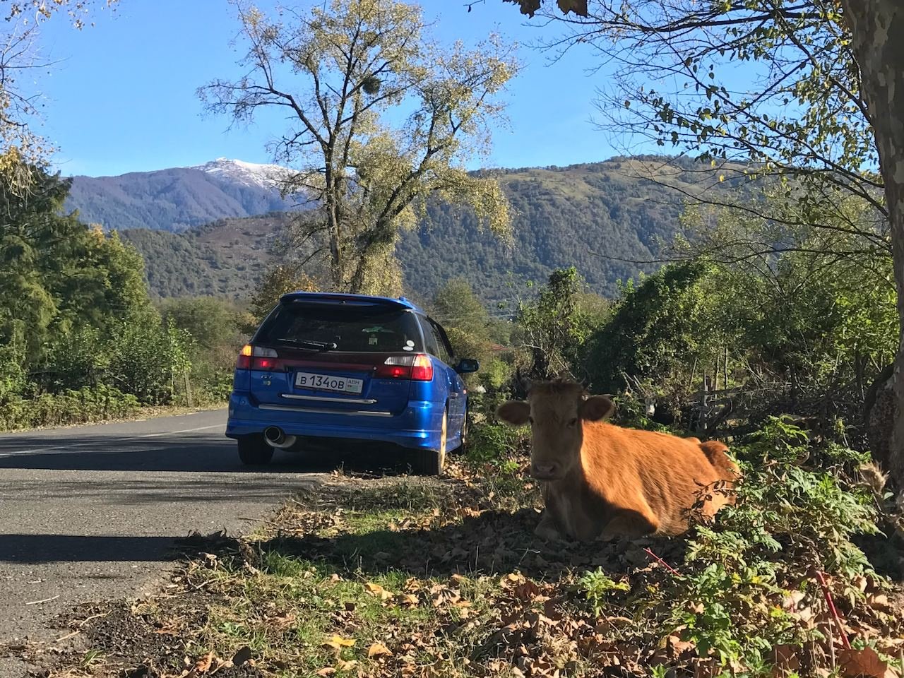 Абсурд Драйв» рассказал о съемках теста Subaru Legacy в Абхазии