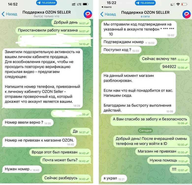 Скриншоты, на которых показано, как обманывают продавца. Источник: Baza / Telegram