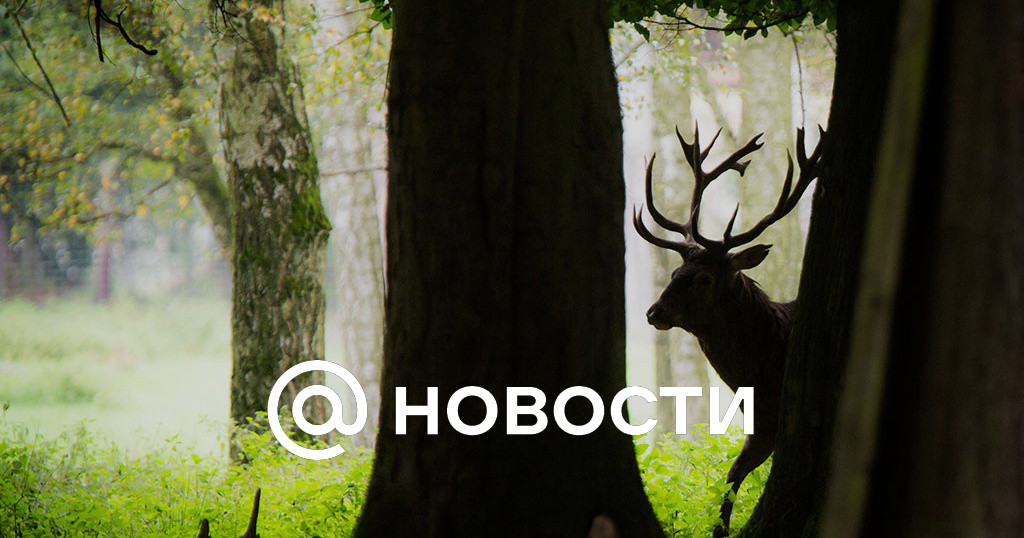 Что нельзя делать сегодня 14 августа 2024