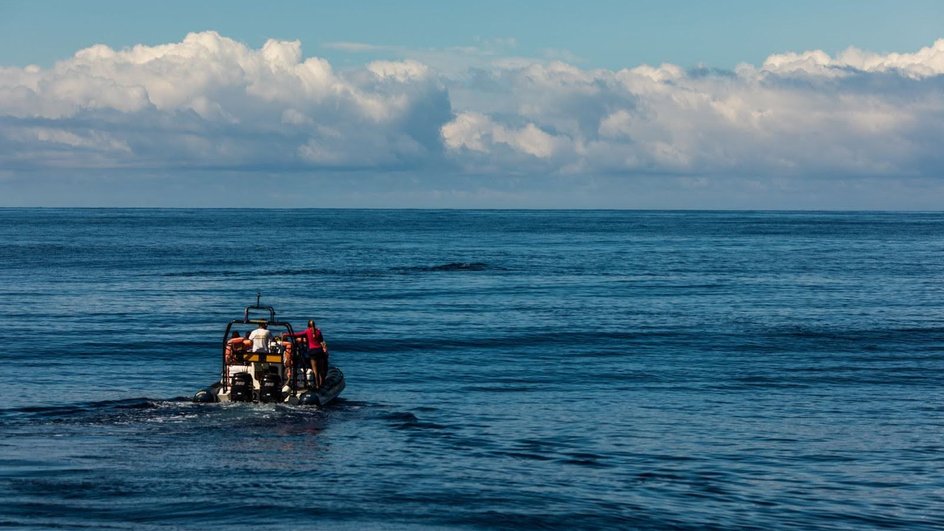 Охотское море входит в рейтинг соленых морей России Охотское море входит в рейтинг соленых морей России