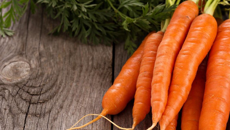 После каких культур лучше всего сажать озимую морковь? - Погода Mail.ru