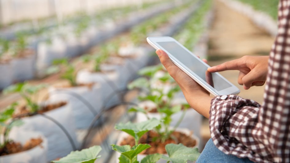 Пример использования технологий в сельском хозяйстве: контроль роста растений.