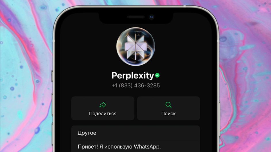 Официальный чат-бот в WhatsApp Официальный чат-бот в WhatsApp