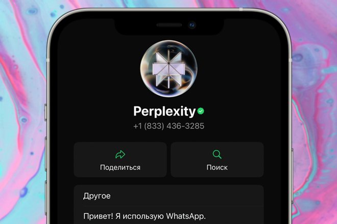 Официальный чат-бот в WhatsApp