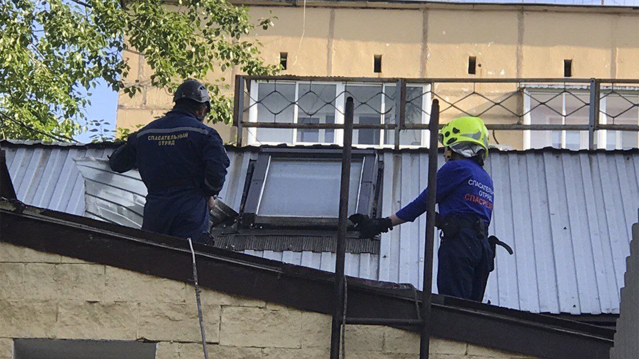 В Москве полдня спасали котят, отбившихся от мамы В Москве полдня спасали котят, отбившихся от мамы