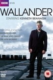 Постер Валландер: 2 сезон