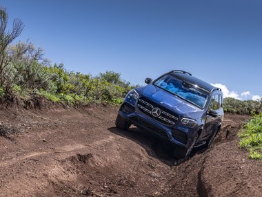 slide image for gallery: 24630 | Mercedes-Benz GLS бездорожье