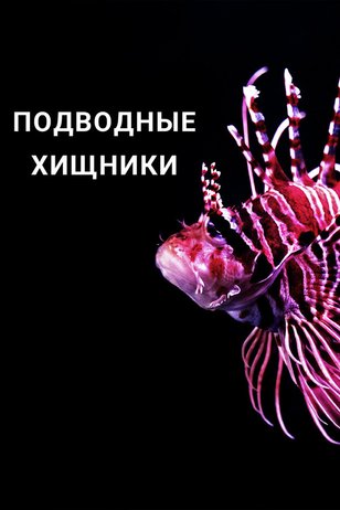 Постер к шоу «Подводные хищники»