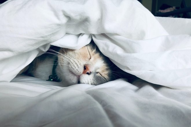 Как выбрать одеяло для крепкого сна