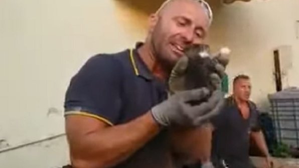 Пожарный спас котенка и прослезился