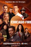Постер Чикаго в огне: 9 сезон