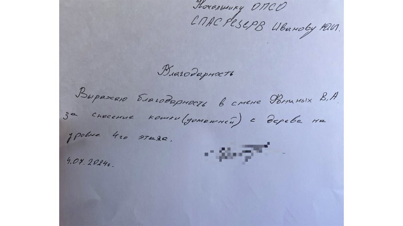 Благодарность за спасение