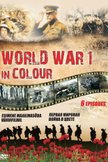 Постер Первая мировая война в цвете: 1 сезон