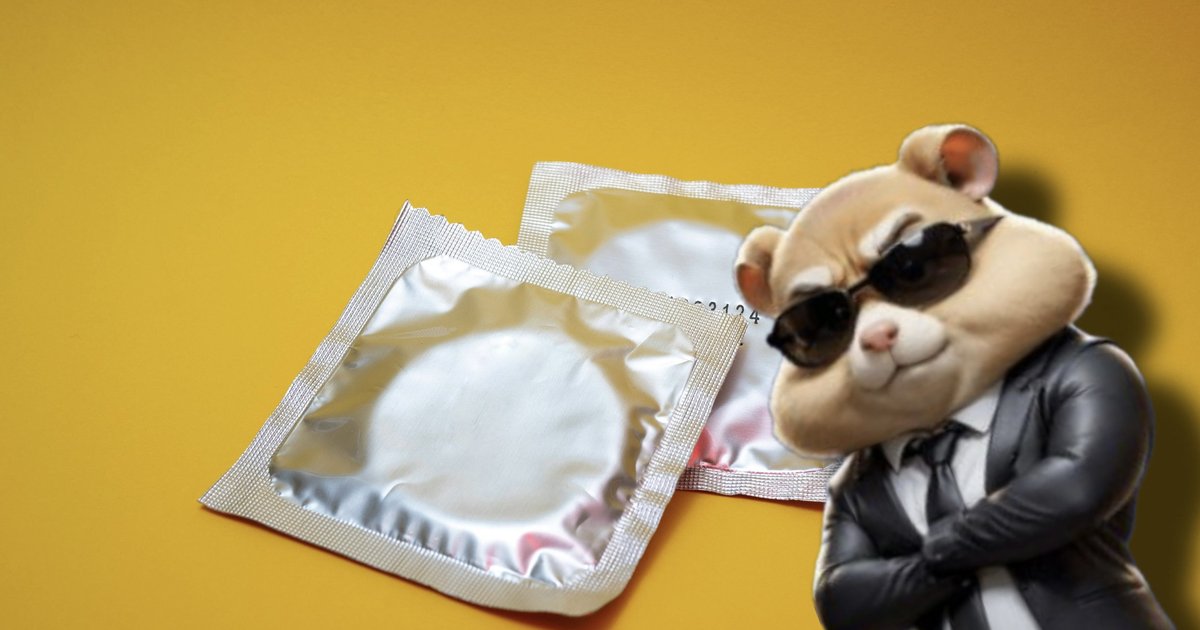 В России появились контрацептивы с Hamster Kombat
