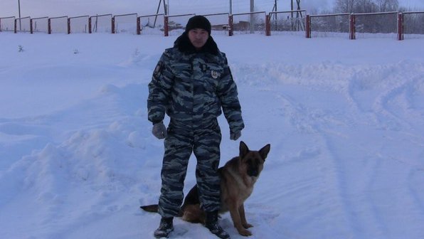 Служебная собака нашла вора и согрела