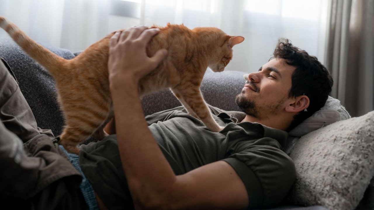 Кошка ложится на грудь Кошка ложится на грудь