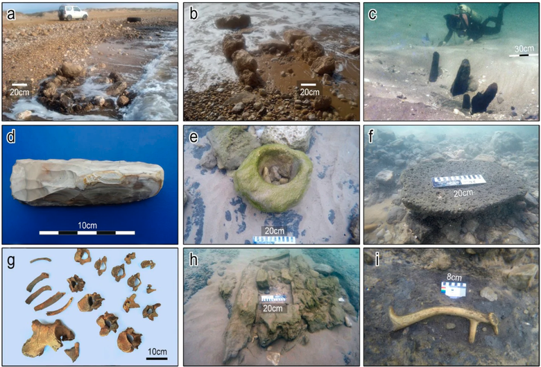 Находки археологов у побережья Израиля. Фото: Science Alert