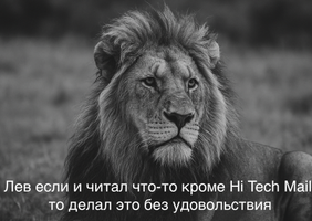 Мемы про льва