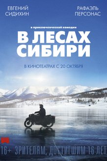 В лесах Сибири: постер