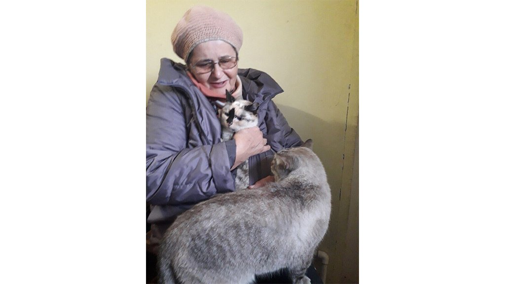Костромская кошка Костромская кошка