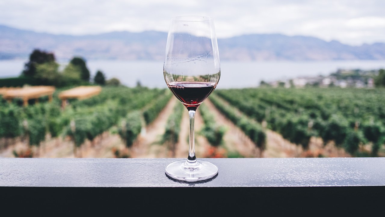 Почему болит голова от красного вина: причины и способы предотвращения