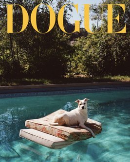 Dogue