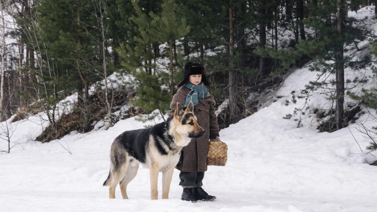 Кино о собаке-герое из блокадного Ленинграда выпустит «Ленфильм»