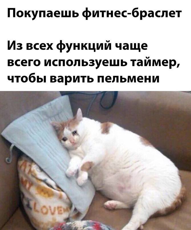 Когда часы умные, а мы голодные Когда часы умные, а мы голодные