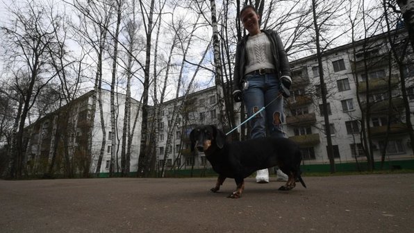 В Ростове нашли таксу, которая убежала во время эвакуации