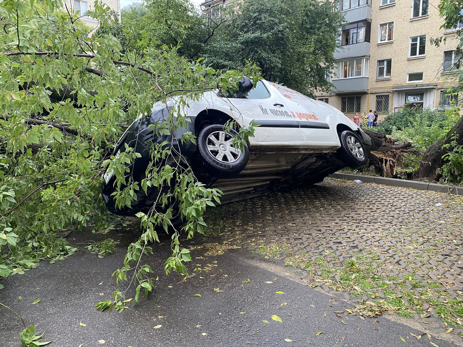 Последствия урагана в Москве — появились фото и видео