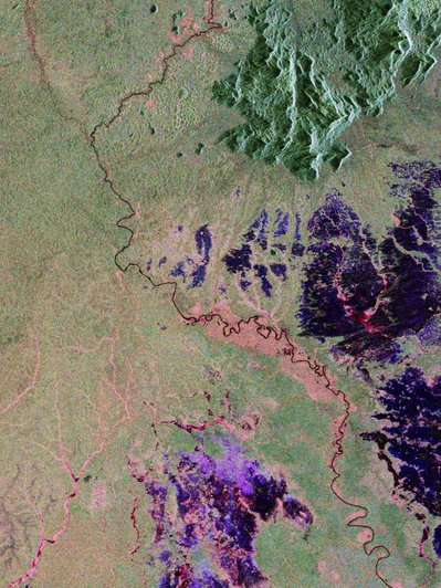 Река и лес на севере Бразилии фото со спутника