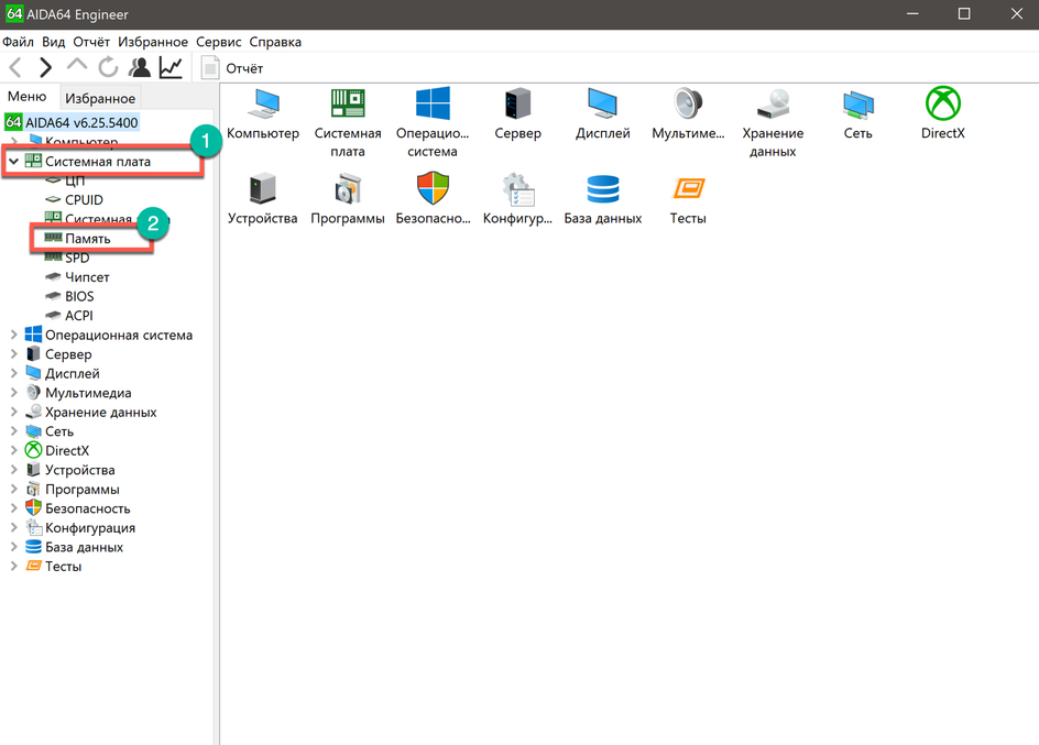 Скриншот окна программы AIDA64 с выбором пункта «Память»