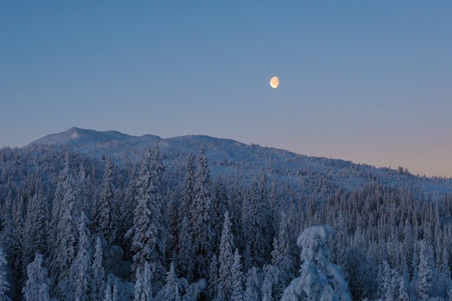 луна луна
