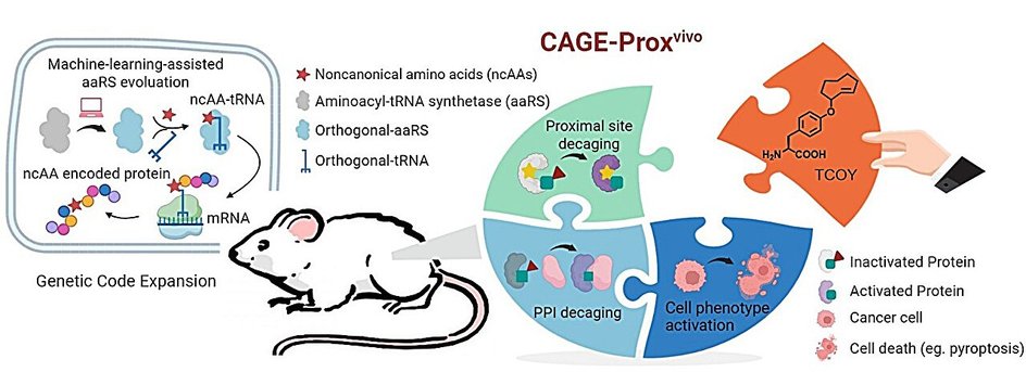 Технология CAGE-Proxvivo Технология CAGE-Proxvivo