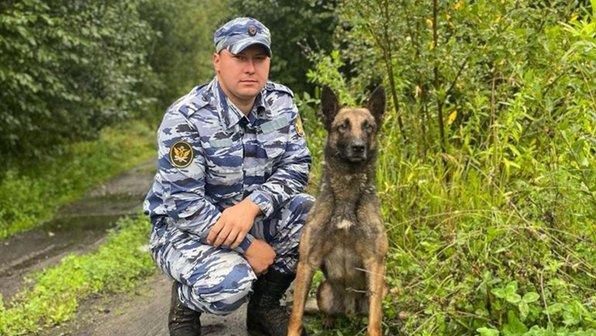 Пушкин и собака спасли заблудившегося в лесу парня под Вологдой