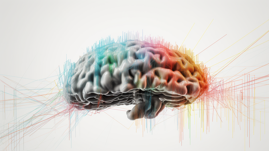 Сети мозга и их взаимосвязь