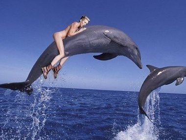 Slide image for gallery: 3250 | Комментарий lady.mail.ru: Новая вариация на тему "дельфин и русалка"