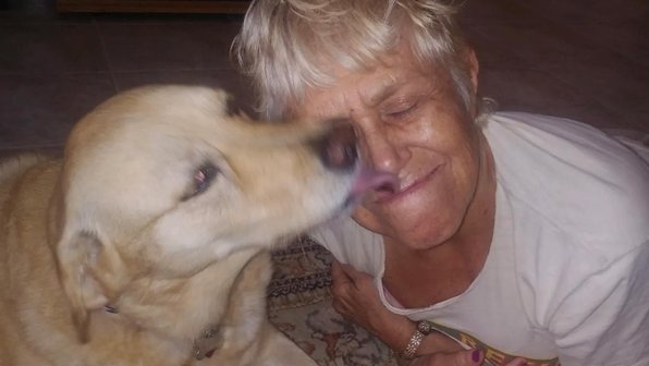 Пожилая женщина отбила свою собаку у двухметрового хищника