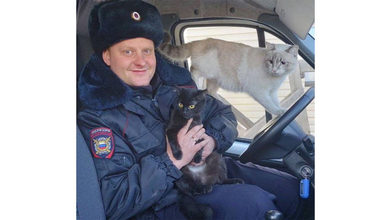 В Улан-Удэ полицейский спас котят — теперь это его питомцы В Улан-Удэ полицейский спас котят — теперь это его питомцы