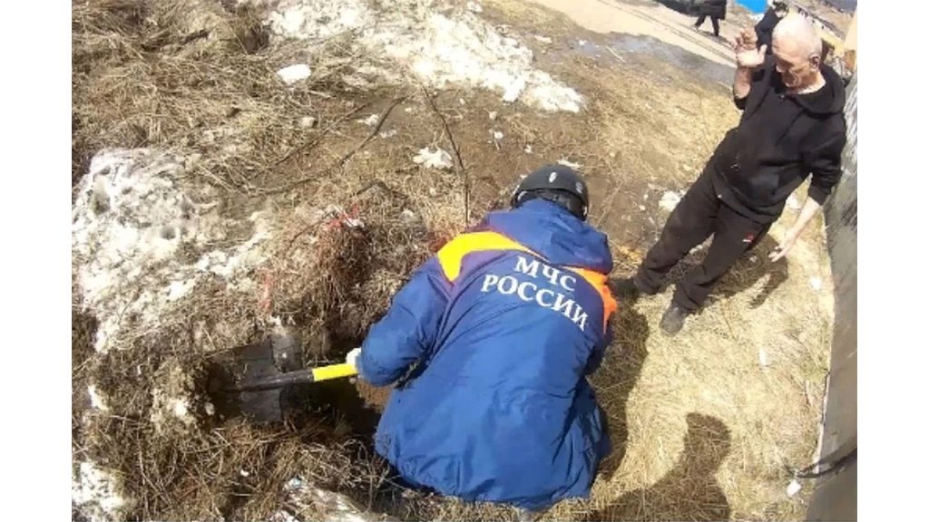 Щенок