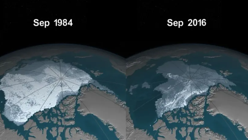 Cравнение размеров ледяного покрова Арктики в 1984 и 2016 годах