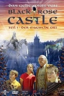 Тайна замка Черной розы: постер