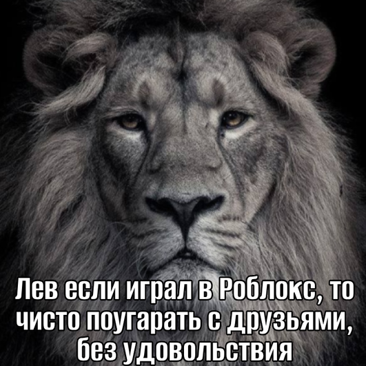 черно-белая фотография льва с подписью «Лев если играл в Роблокс, то чисто поугарать с друзьями, без удовольствия» черно-белая фотография льва с подписью «Лев если играл в Роблокс, то чисто поугарать с друзьями, без удовольствия»