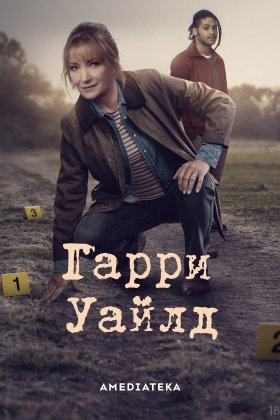 Гарри Уайлд: постер