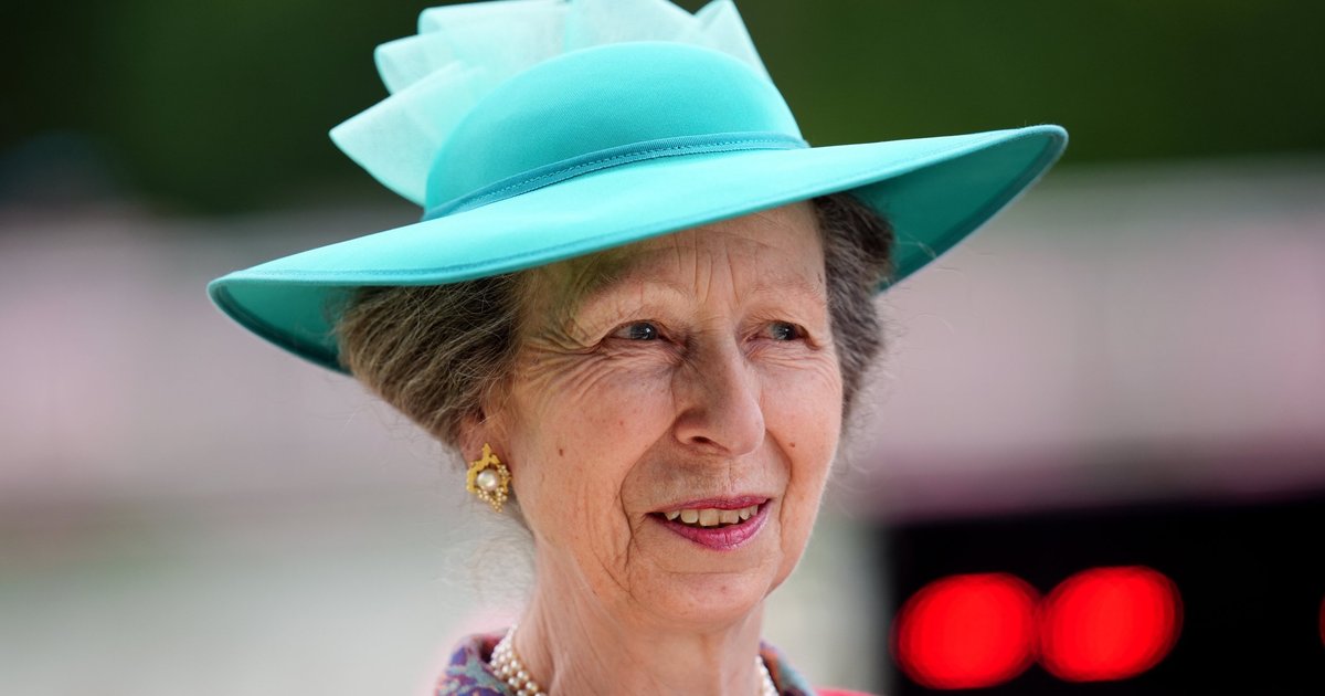 Princess Anne was in hospital with a concussion and head harm