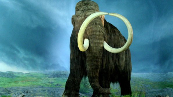Раскрыта тайна вымирания крупных животных 50 000 лет назад