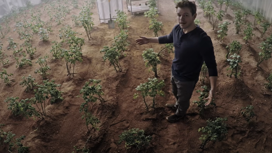 Человечеству придется научиться выращивать еду на Красной планете. Фото: кадр из фильма «Марсианин»